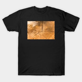 Wooden Tree Circle Texture - Alternative T-Shirt